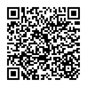 QR Code for The wretched of the earth