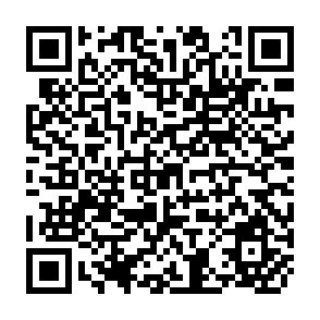 QR Code for Revolution and evolution