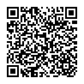 QR Code for Small farmer development programme in asia and pacific region