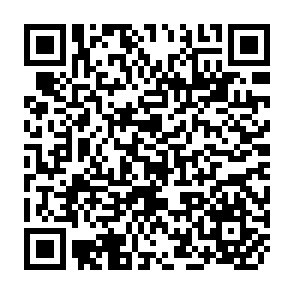 QR Code for Political Anthropology