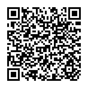 QR Code for Region of Revolt