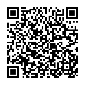 QR Code for Social origins of dictatorship and democracy