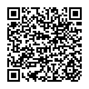 QR Code for Peasant nationalism and communist power