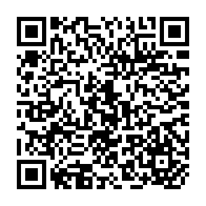 QR Code for The great rumanian peasant revolt of 1907