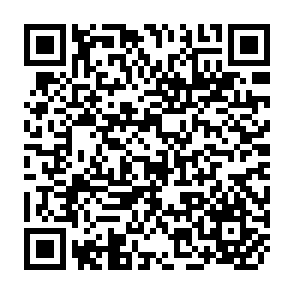 QR Code for The politics and economics of "Intermediate Regimes"