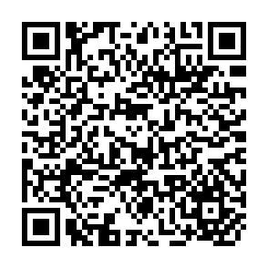 QR Code for Toward a theory of Latin American Politics