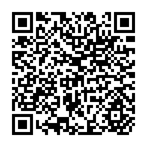QR Code for The breakdown of provincial urban power structure and the rise of peasant movement