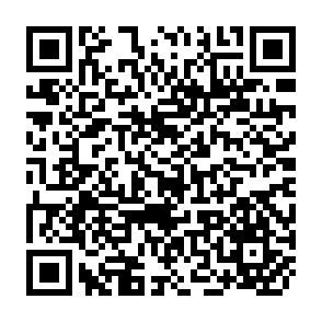 QR Code for The analysis of time series:Theory and practical