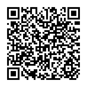 QR Code for China's long revolution