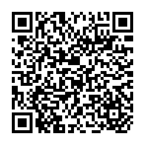 QR Code for American politics and government