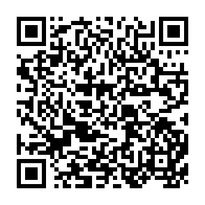 QR Code for Democracy and Participation