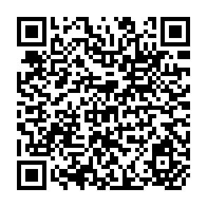 QR Code for Evidence on the Terror in chile