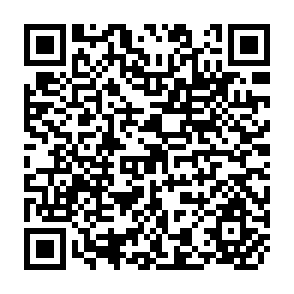 QR Code for The struggle against history