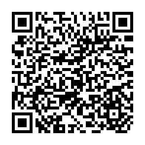 QR Code for The politics of power