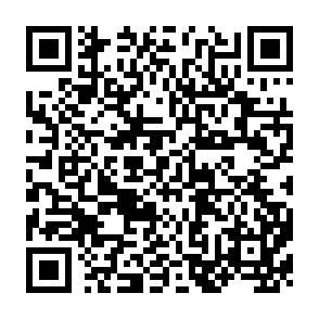 QR Code for Demographic transition theory reinterpreted