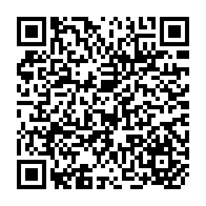 QR Code for The political structure
