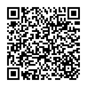 QR Code for The politics of new states