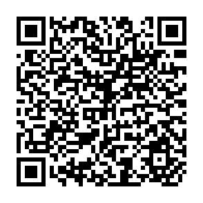 QR Code for The model economy of the peasant
