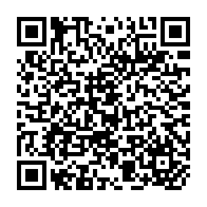 QR Code for Desired fertility,Income,and The valuation of children