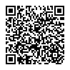 QR Code for The population of Korea