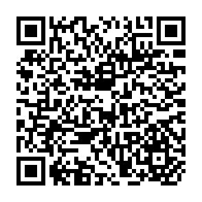 QR Code for The Sequences of "Crises" in Indonesia