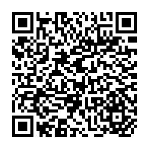 QR Code for Population,employment and economic development: The postwar Philippine experience