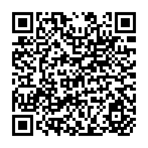 QR Code for Peasants and poverty