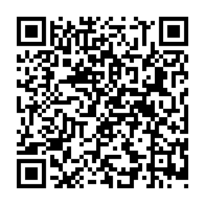 QR Code for Rule,Protest,Identity