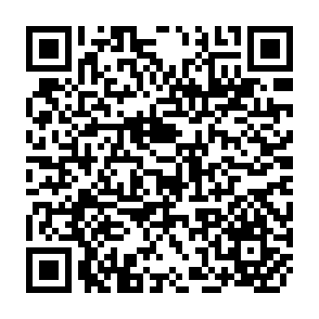 QR Code for The philosophy of a peasant