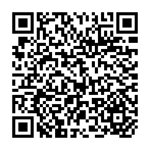 QR Code for Egypt