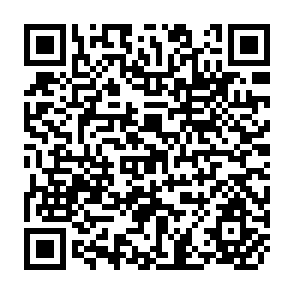 QR Code for Workers,Peasants,artisans and mothers