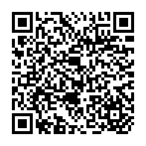 QR Code for Elites in the policy process