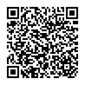 QR Code for The politico-economic programme of the christian democratic union of the federal republic of germany