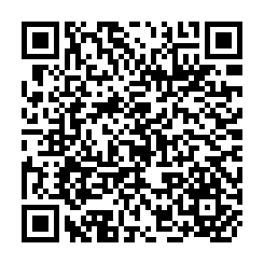 QR Code for The occupational adjustment of indo-Chinese refugees in Australia