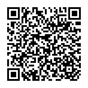 QR Code for The populataion problem:Time bomb or myth