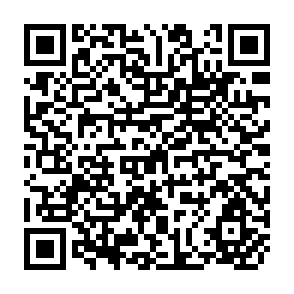 QR Code for The peasants charter