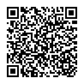 QR Code for The states of south asia