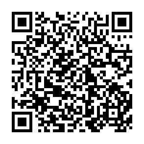 QR Code for Dissent,Power,and confrontation