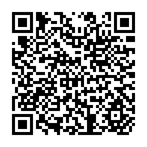QR Code for THE RITUAL PROCESSS