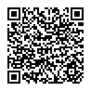 QR Code for Employment Creation in Primary Production in Less Developed Countries
