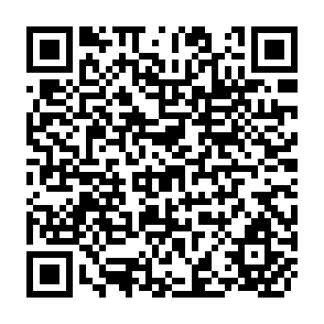 QR Code for Employment Creation in Primary Production in Less Developed Countries