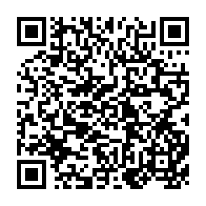 QR Code for A Decision Maker's guide to videotex and teletext