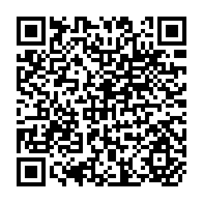 QR Code for Angoc Development Education Programme: Ngo Experients in Rural Credit and Marketing