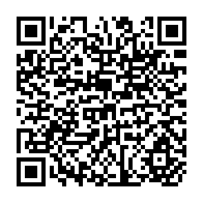 QR Code for Agrarian reform in latin america