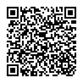 QR Code for Primitive Rebels