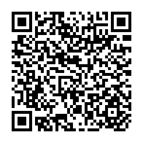 QR Code for Report of the International Workshop for Trainers of Animal Health Auxiliaries and Livestock Farmers