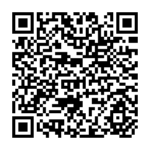 QR Code for Food Policy