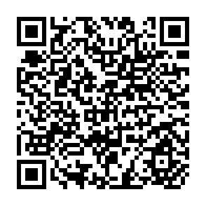 QR Code for Economic Theory and Planning