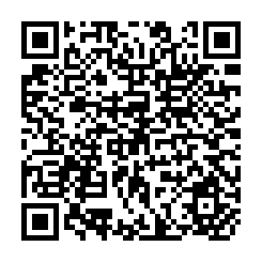 QR Code for Development Perspectives