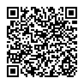 QR Code for Egypt's Food Subsidy Policy: Lessons and Options